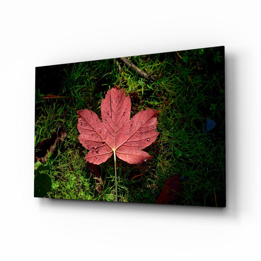 A red maple leaf covered in water droplets rests on green moss and grass, displayed as a glass wall art panel.