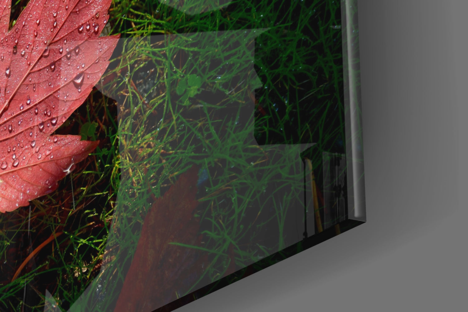 Angled view of glass wall art displaying a red leaf with water droplets and green grass against dark background.
