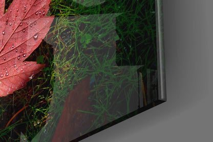 Angled view of glass wall art displaying a red leaf with water droplets and green grass against dark background.