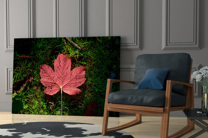Pink Leaf Glass Wall Art displayed in modern living room beside wooden-framed chair with black cushions and blue pillow.