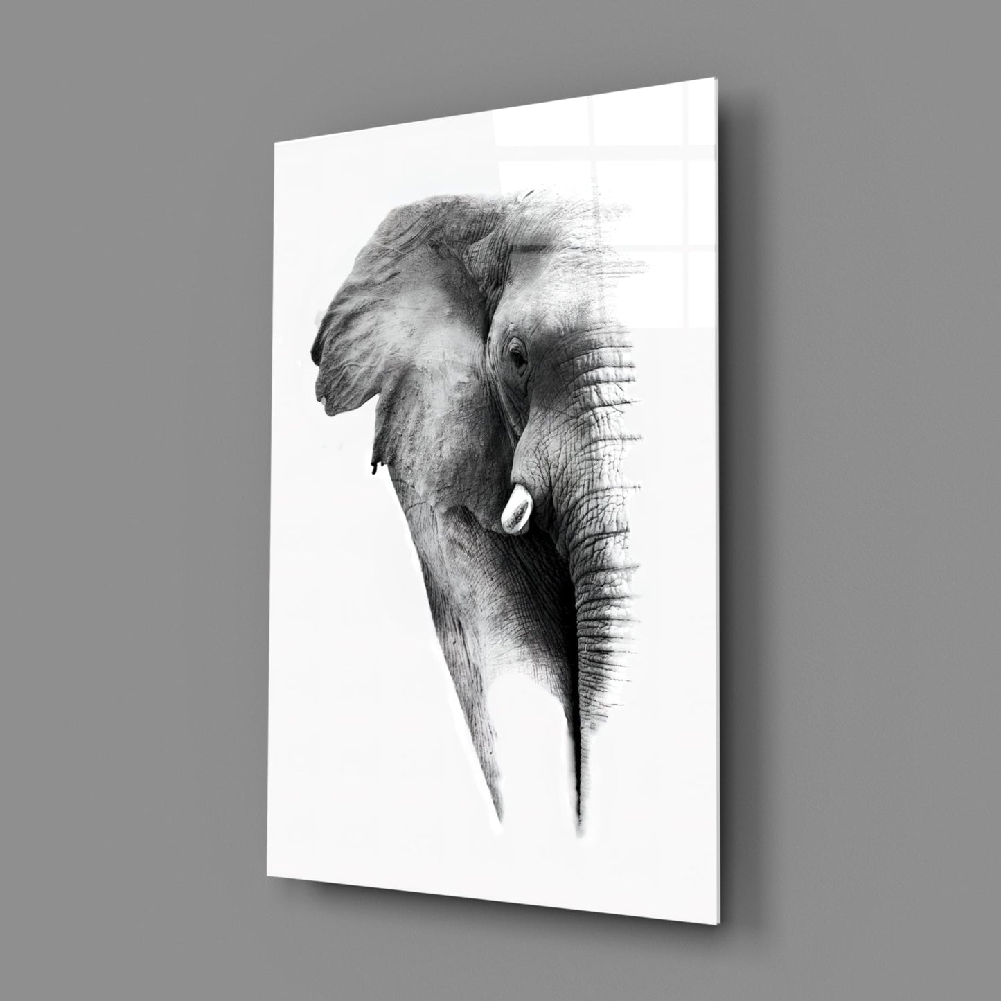 Faded Grayscale Elephant Sketch Glass Wall Art