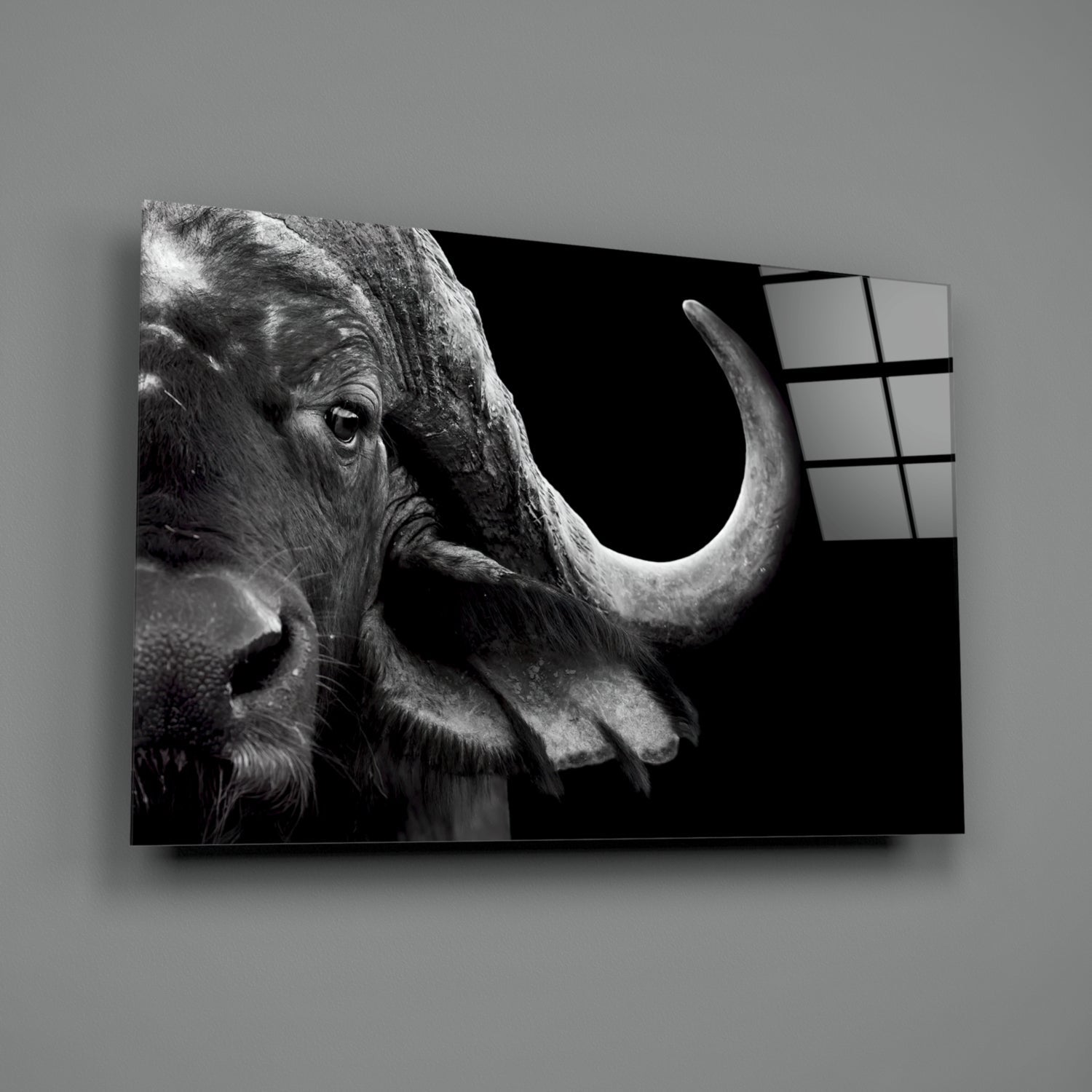 Black and white bison head profile mounted on frosted glass panel with grid pattern, angled three-quarter view.
