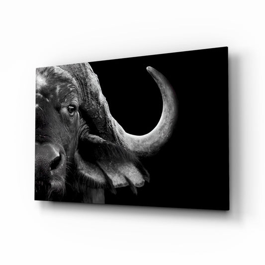 Black and white photograph of a bison's head in profile against a dark background, displayed on glass wall art with shadow effect.