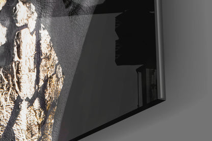Cracked Gold Half Face Glass Wall Art