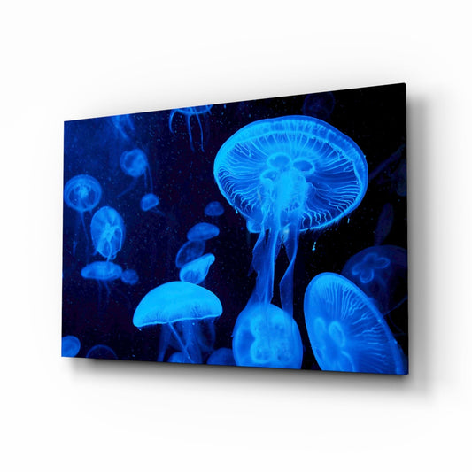 Angled perspective of a glass wall panel displaying bioluminescent jellyfish in glowing blue tones against a dark background.