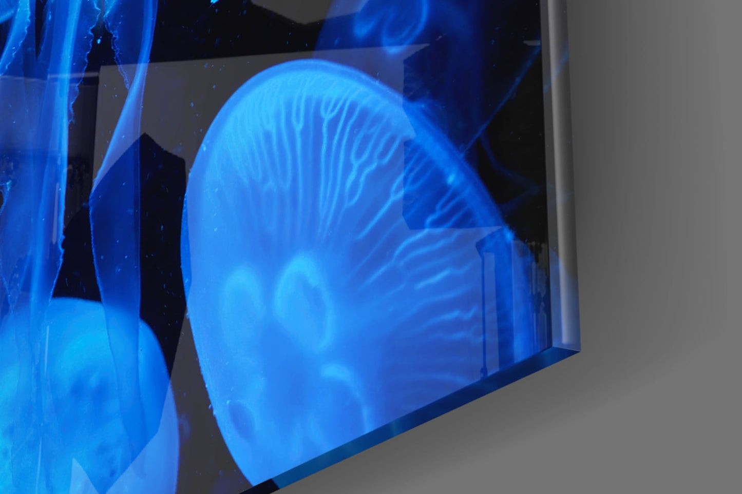 Blue Moon Jellyfish Deep Sea Glass Wall Art