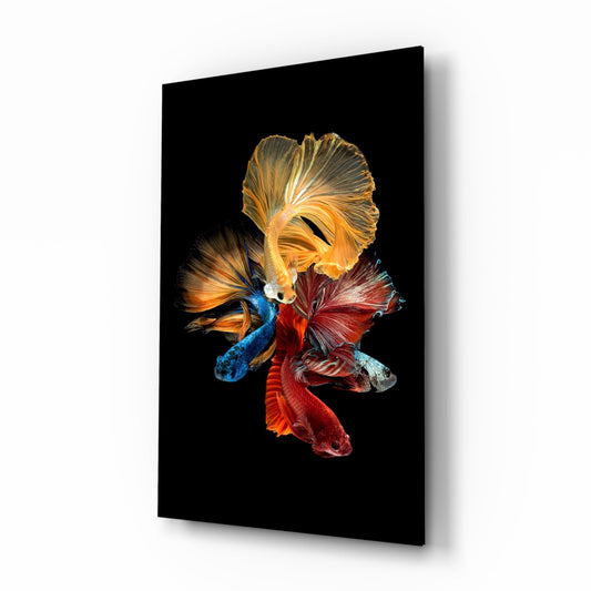 Four colorful betta fish with flowing fins arranged in a circular composition against black glass, displayed at an angle showing the 3D depth.