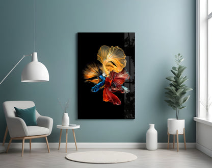 Betta's Dance glass wall art displayed on a teal bedroom wall above a white armchair, showing colorful betta fish with gold, red, and blue fins against black background.