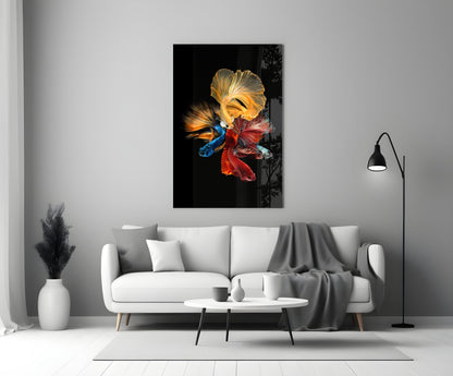 Betta's Dance glass wall art displayed above a white sofa in a minimalist living room, featuring colorful fish against black background.