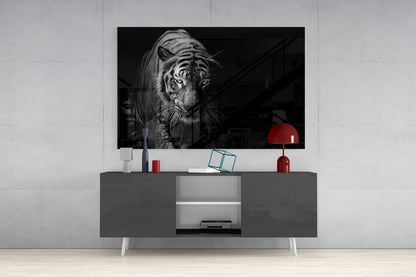 Tiger Emerging From Shadow Glass Wall Art