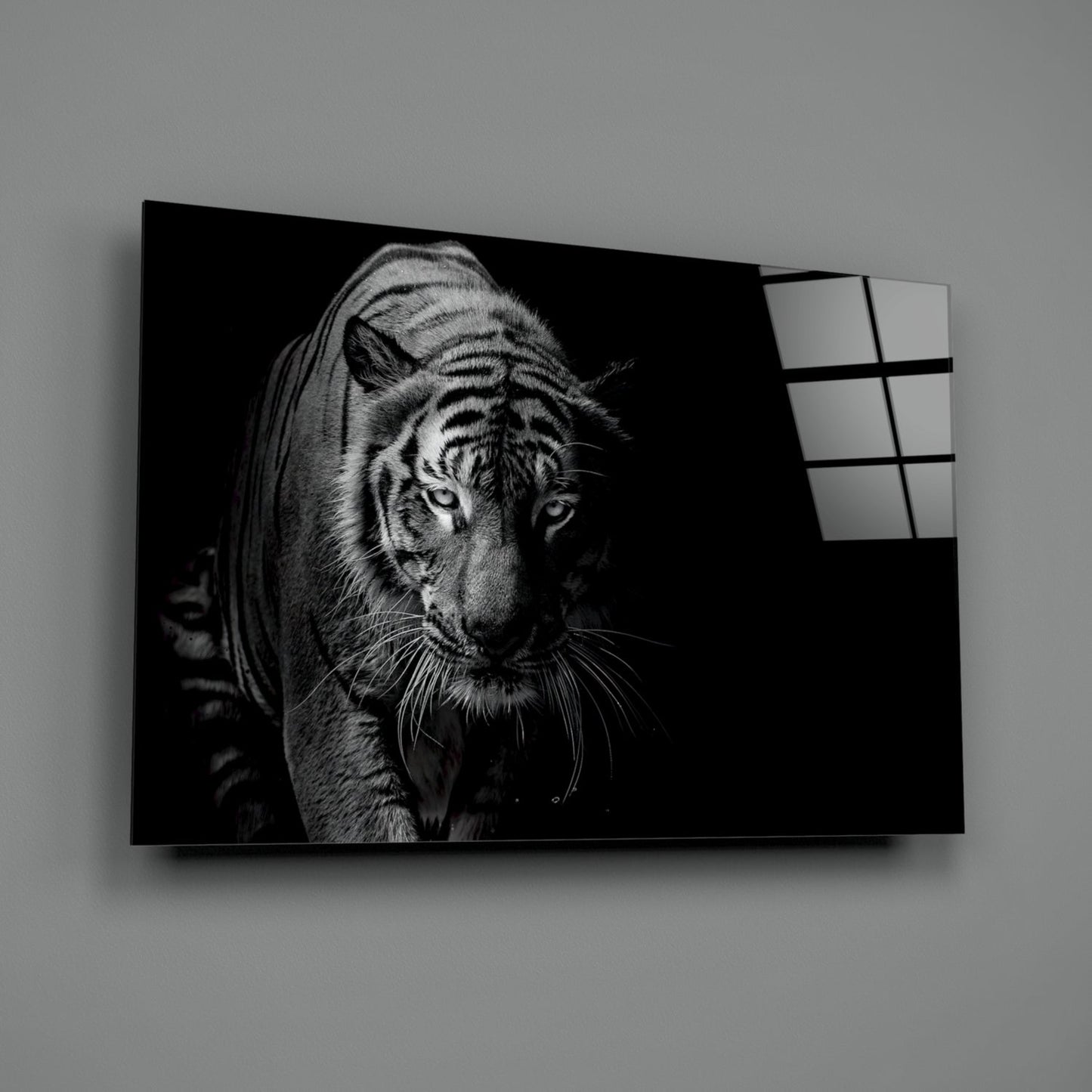 Tiger Emerging From Shadow Glass Wall Art