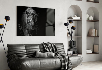 Tiger Emerging From Shadow Glass Wall Art
