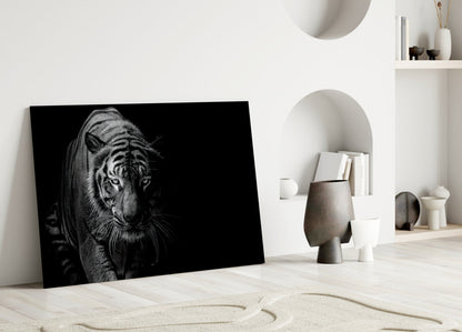 Tiger Emerging From Shadow Glass Wall Art