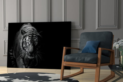 Tiger Emerging From Shadow Glass Wall Art