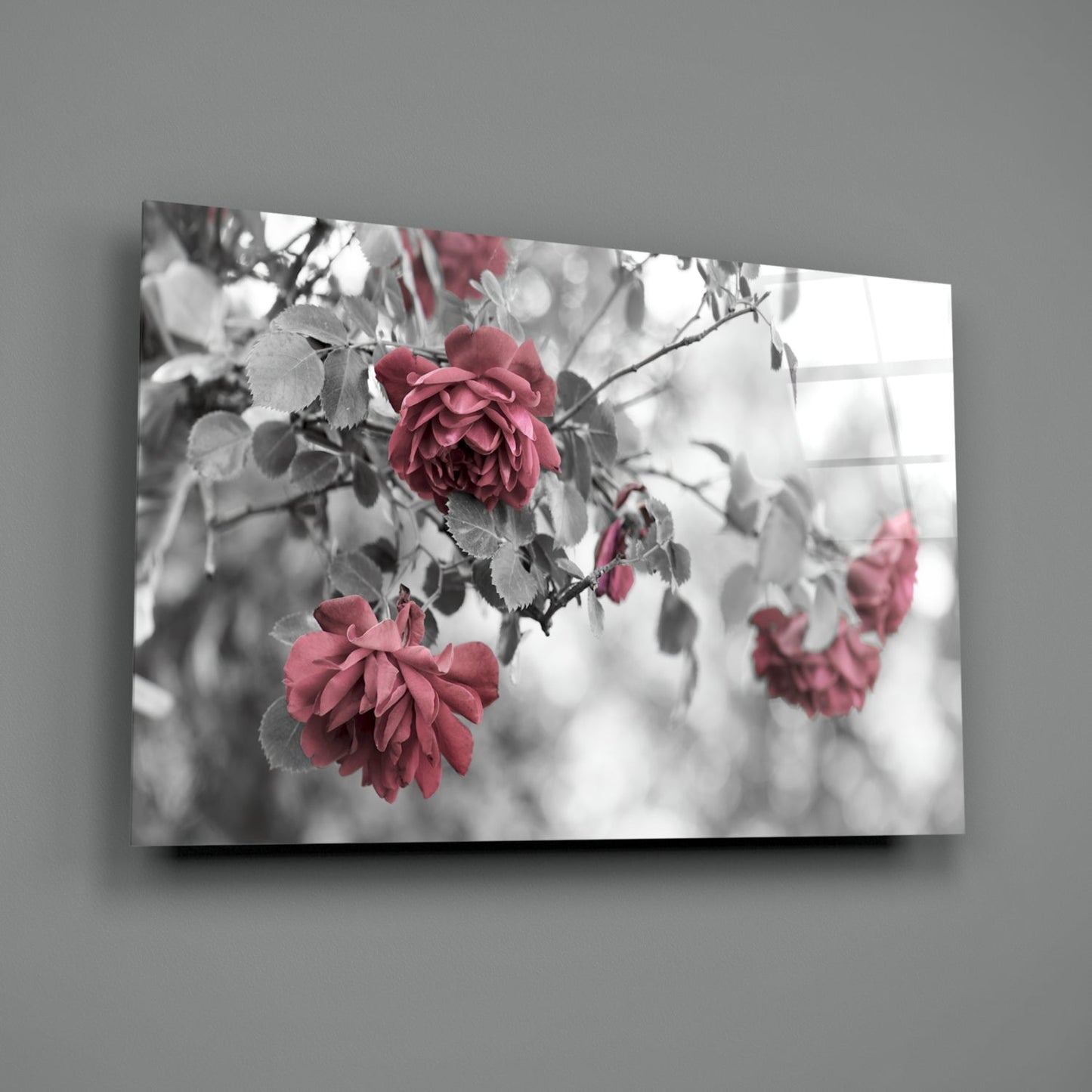 Pink and deep red roses with gray foliage on black and white desaturated background, displayed as glass wall art panel.