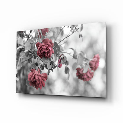 Deep pink roses on branches displayed on a glass wall art panel, shown at an angle with selective color effect against grayscale foliage.