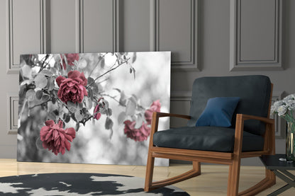 Pink roses glass wall art displayed in a modern living room beside a wooden-framed chair with black upholstery.