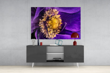 Purple Anemone Macro Yellow Flower Glass Wall Art
