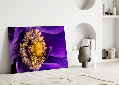 Purple Anemone Macro Yellow Flower Glass Wall Art