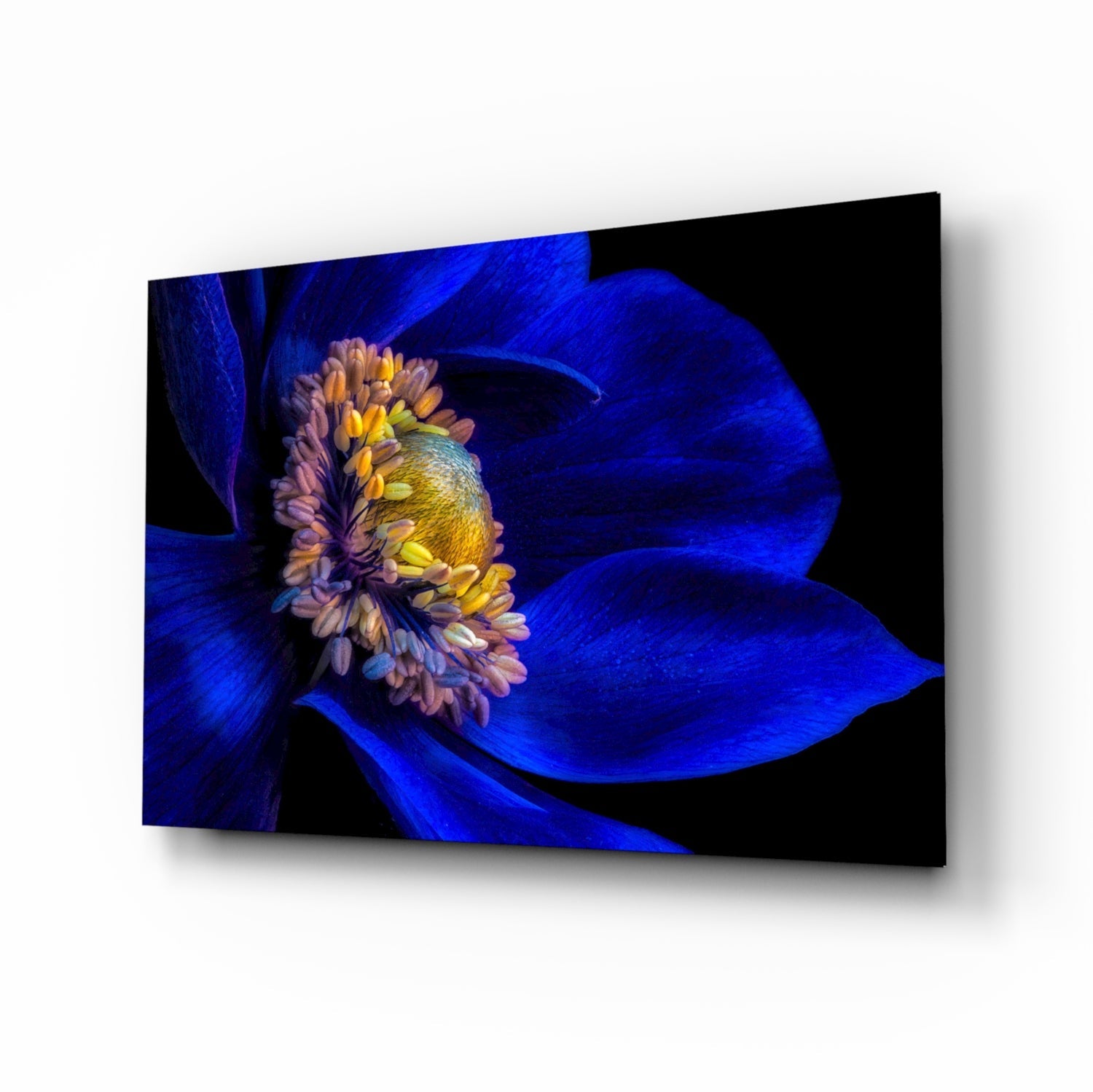 Angled perspective of glass wall art displaying a vibrant blue flower with yellow center against black background.