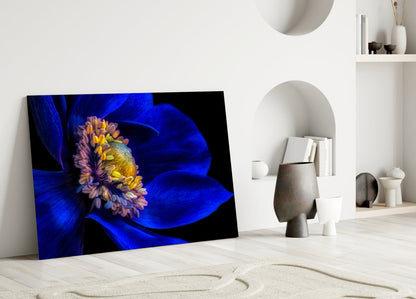 Glass wall art leaning against white wall displays vibrant blue flower with yellow center on black background in minimalist interior setting.