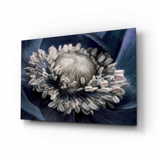 Close-up view of a gray flower with white stamens surrounded by dark blue petals on glass wall art displayed at an angle.