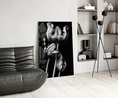 Three Parrot Tulips on Black Glass Wall Art