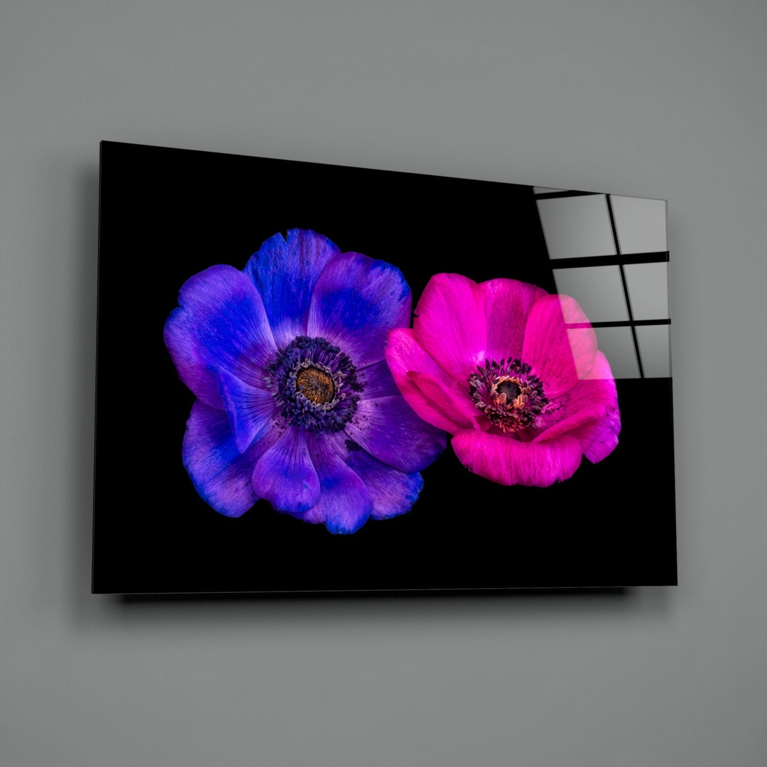 Angled view of glass wall art displaying a vibrant blue and magenta flower pair against black background.