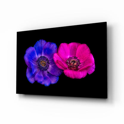 Two vibrant flowers—one purple-blue, one magenta-pink—displayed side-by-side on black glass wall art.