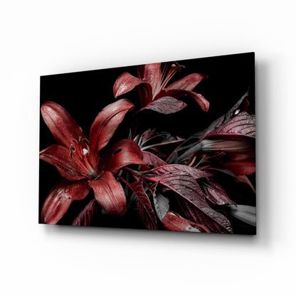 Crimson Dewy Lilies on Black Glass Wall Art