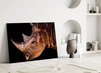 Warm Lit Rhino Close Up Glass Wall Art