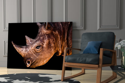 Warm Lit Rhino Close Up Glass Wall Art