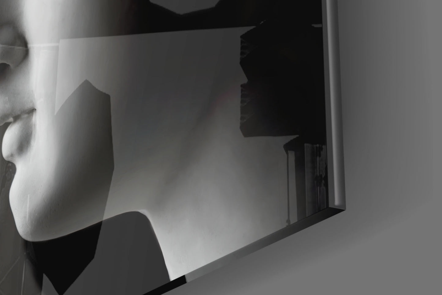 Black and White Mirrored Statue Faces Glass Wall Art