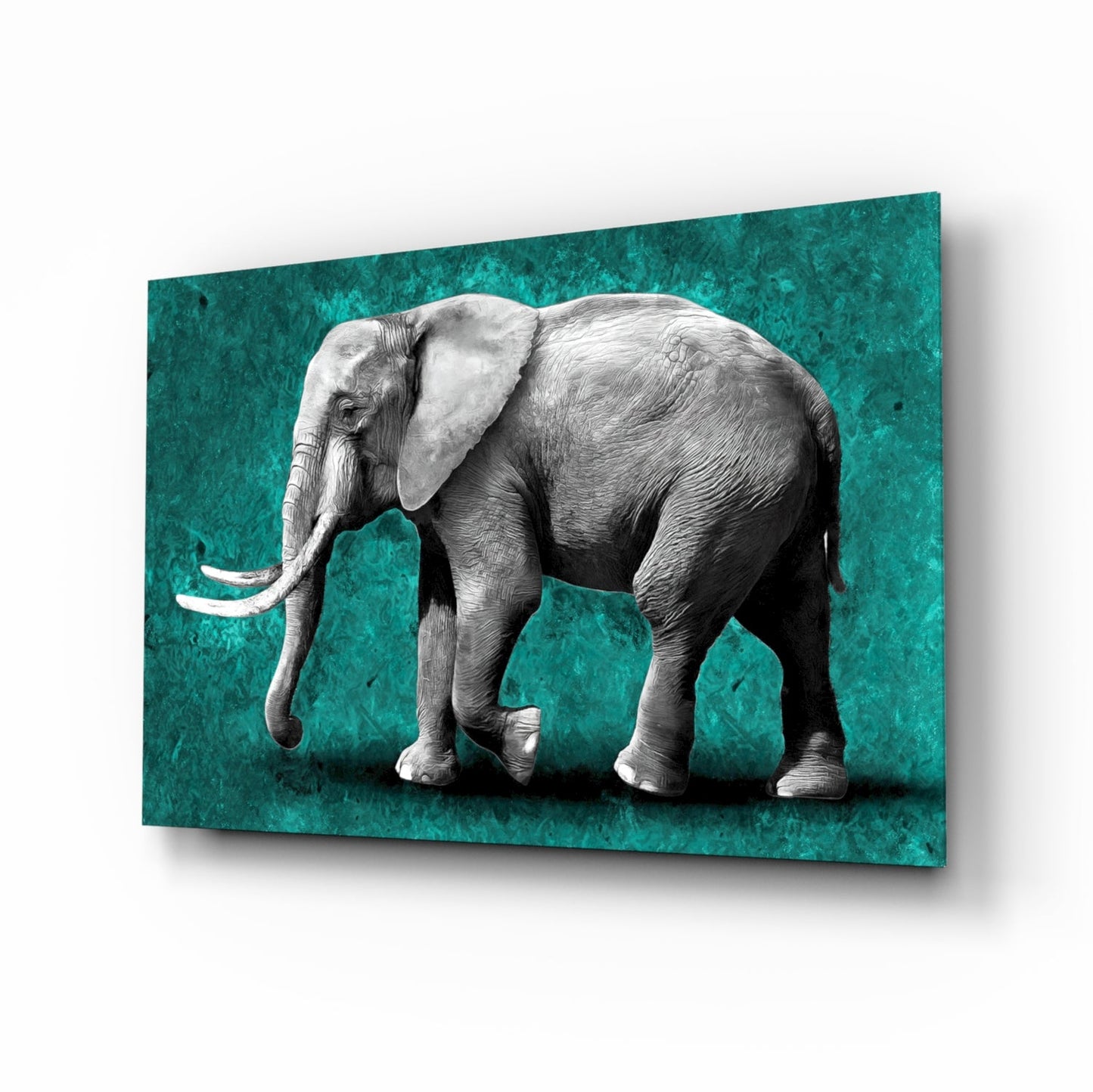 Grayscale Elephant Teal Backdrop Glass Wall Art