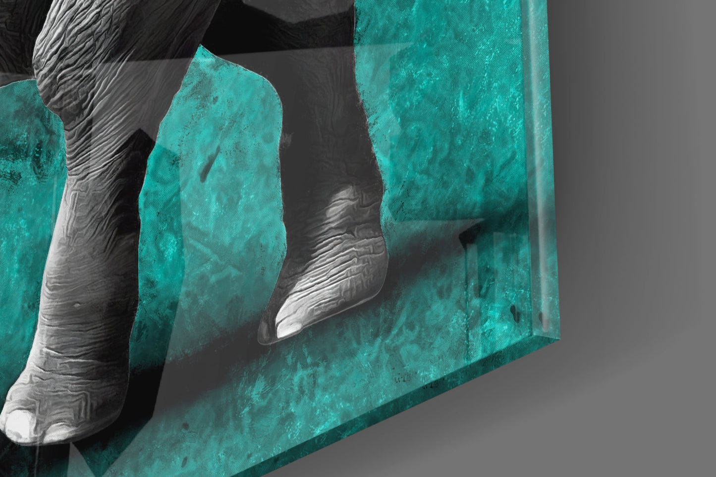Grayscale Elephant Teal Backdrop Glass Wall Art