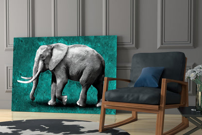 Grayscale Elephant Teal Backdrop Glass Wall Art
