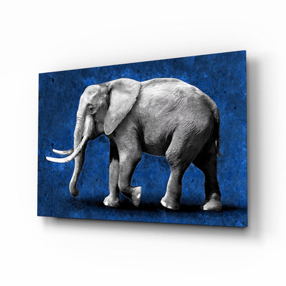 Grayscale Elephant Blue Backdrop Glass Wall Art