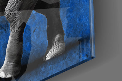 Grayscale Elephant Blue Backdrop Glass Wall Art