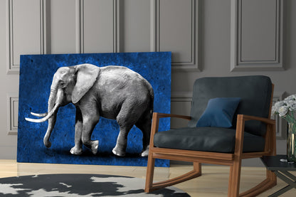 Grayscale Elephant Blue Backdrop Glass Wall Art