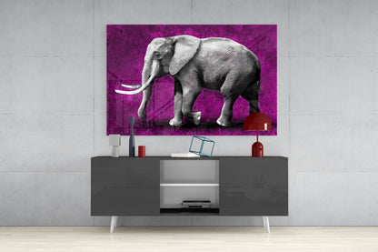 Grayscale Elephant Magenta Backdrop Glass Wall Art