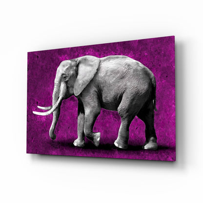 Grayscale Elephant Magenta Backdrop Glass Wall Art