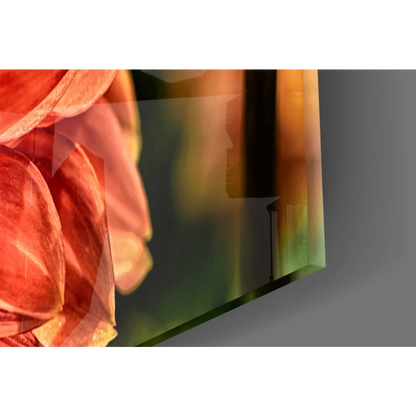 Vibrant glass wall art print with layered orange pink florals on blurred green amber background