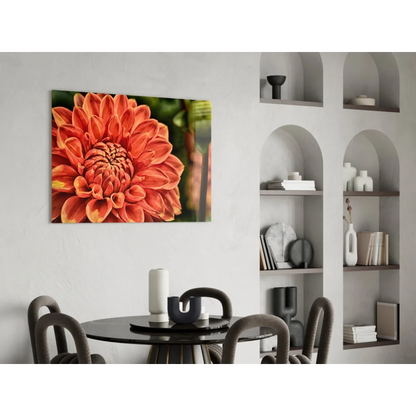 Vibrant orange dahlia on glass wall art print for stunning space decor
