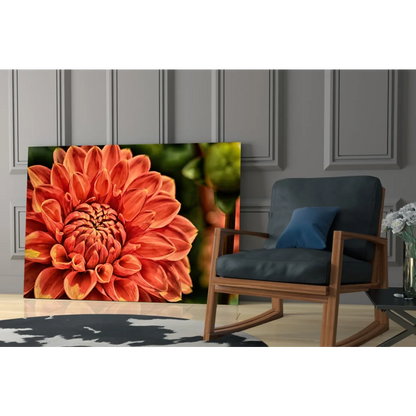 Vibrant orange dahlia glass wall art print with detailed petals