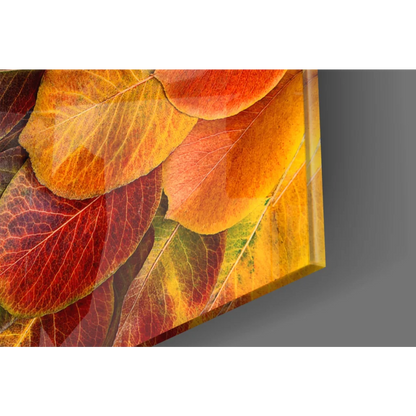 Stunning autumn leaves glass wall art print with vibrant overlapping foliage