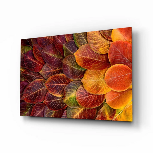 Vibrant autumn leaves glass wall art print in reds, oranges, purples