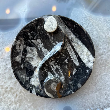 Polished black limestone orthoceras fossils yin yang pendant from Morocco