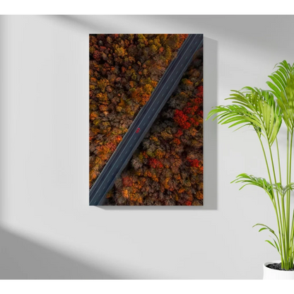 Stunning autumn road on insigne aluminum print