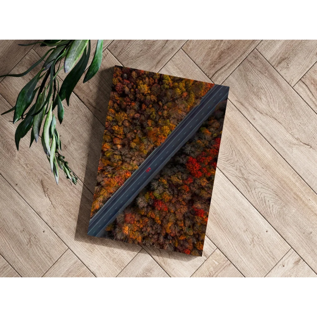 Vibrant autumn forest road on insigne aluminum prints