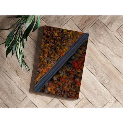 Vibrant autumn forest road on insigne aluminum prints